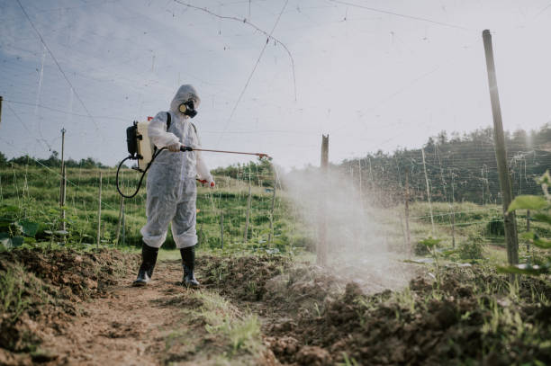 Best Mosquito Control Services  in East Islip, NY