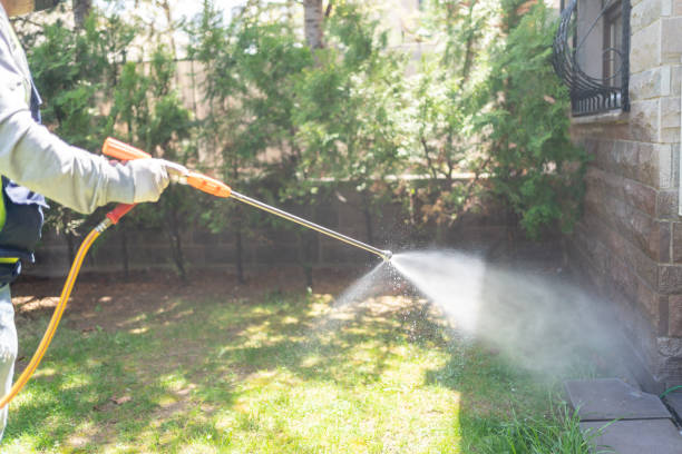 Insect Control in East Islip, NY