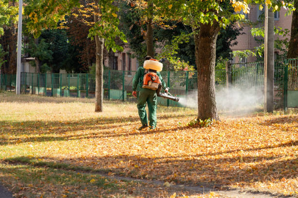Reliable East Islip, NY Pest Control Solutions